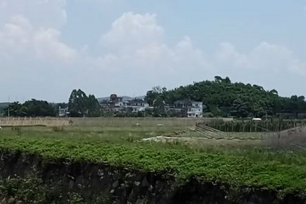 橫橋東社 橫橋東社
