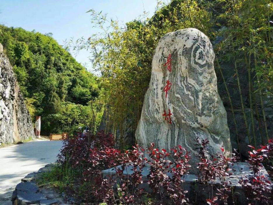 青中村(陝西省安康市紫陽縣青中村) 青中村(陝西省安康市紫陽縣青中村)