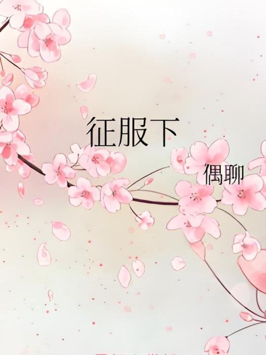 征服下 征服下