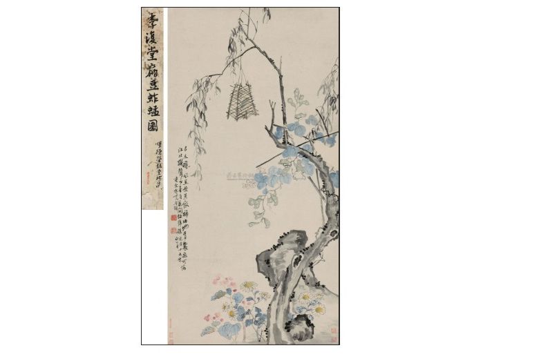 扁豆蚱蜢 扁豆蚱蜢