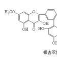 銀杏素 銀杏素