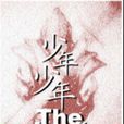 少年少年(小說) 少年少年(小說)