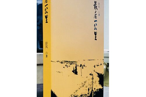最後一公里(2018年海南出版社出版的圖書) 最後一公里(2018年海南出版社出版的圖書)