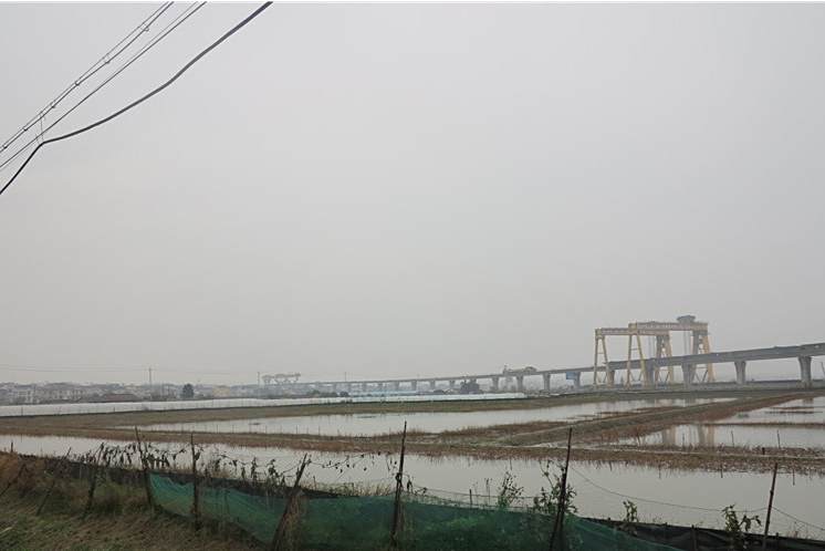 大豐圩 大豐圩