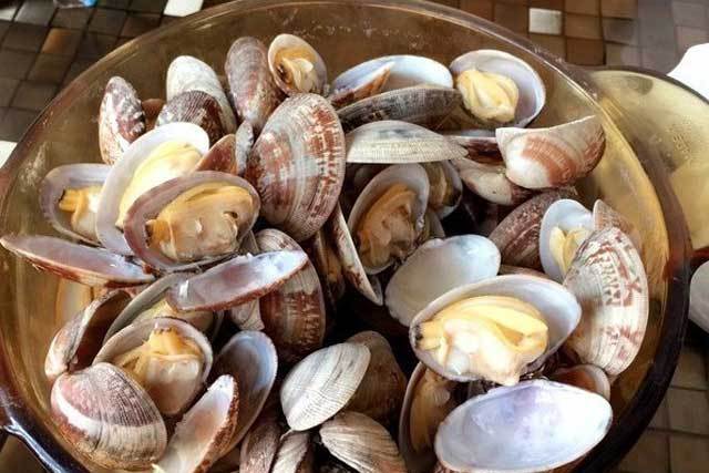 原味蛤蜊 原味蛤蜊