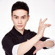 陳虎(功夫演員) 陳虎(功夫演員)