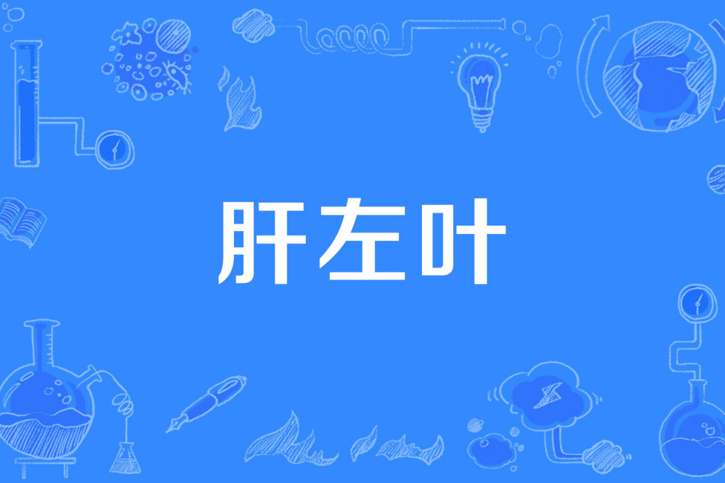 肝左葉 肝左葉
