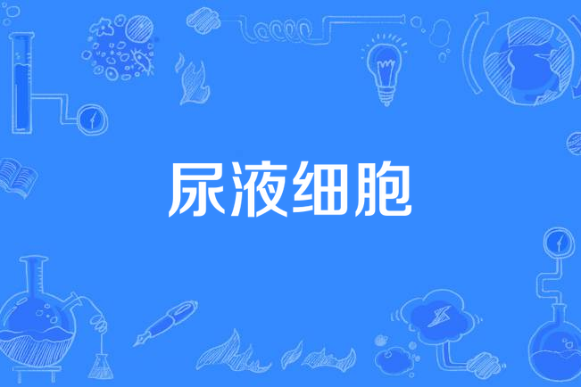 尿液細胞 尿液細胞