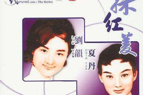 陽光好