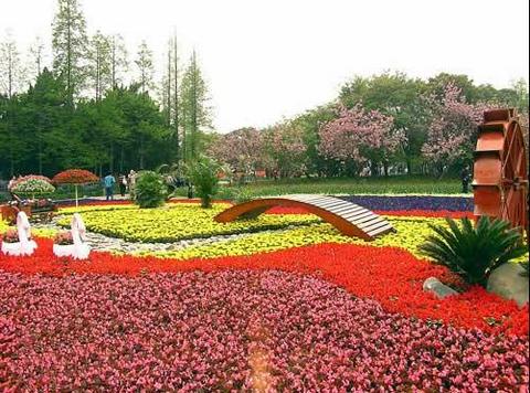上海普陀公園