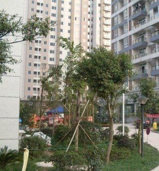 寶香居 寶香居