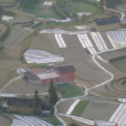 樟樹坪村 樟樹坪村