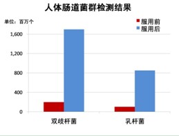 每天兩杯冠益乳，連續14天，腸道內好菌變化