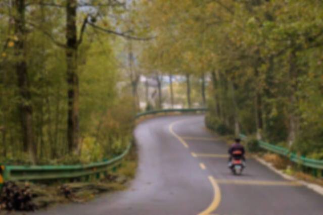 青龍山路(泰安市青龍山路) 青龍山路(泰安市青龍山路)