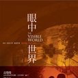 眼中世界 眼中世界