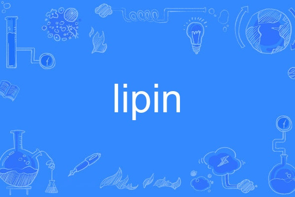lipin lipin