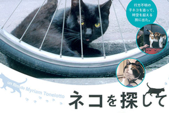 貓的方式 貓的方式