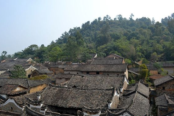 井頭灣村 井頭灣村
