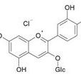 矢車菊素-3-O-葡萄糖苷