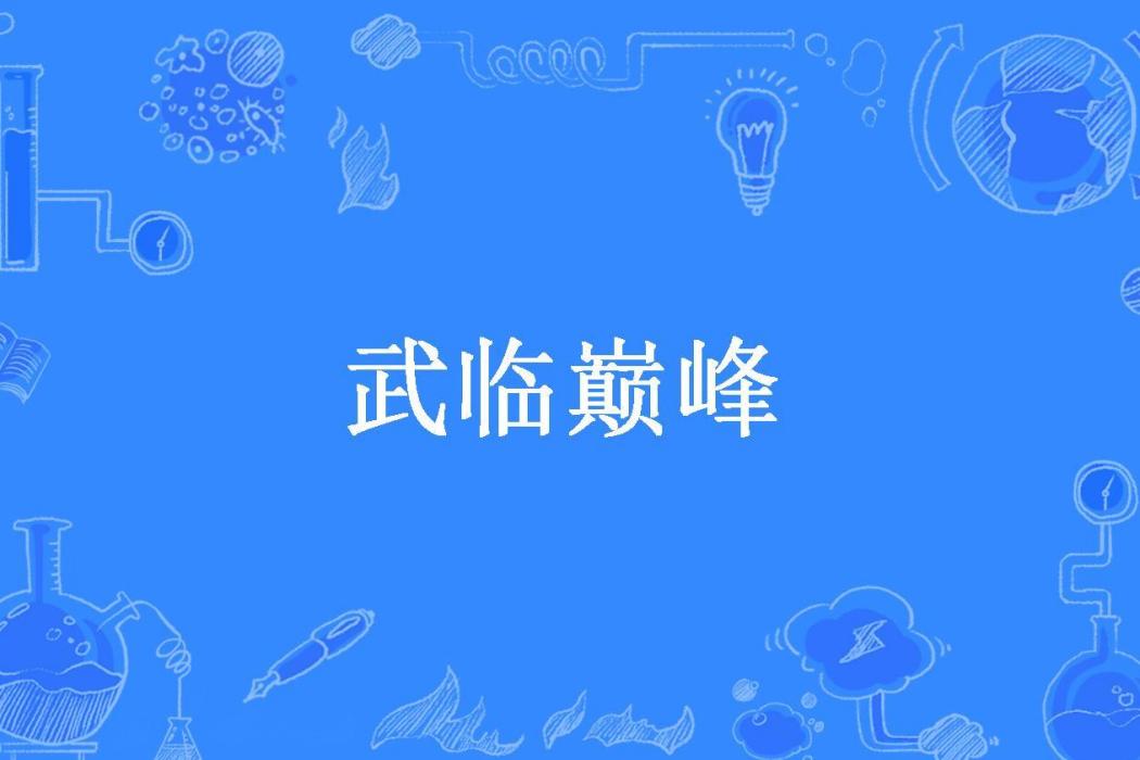 武臨巔峰(麻將也瘋狂所著小說) 武臨巔峰(麻將也瘋狂所著小說)