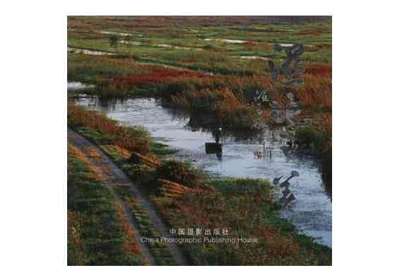 濕地之美 濕地之美