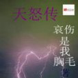 天怒傳 天怒傳
