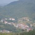 老王村(山東濟陽區垛石橋鎮下轄村) 老王村(山東濟陽區垛石橋鎮下轄村)