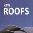 New Roof Design New Roof Design