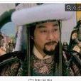 完顏齊(金朝宗室) 完顏齊(金朝宗室)