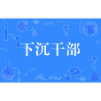 下沉幹部 下沉幹部