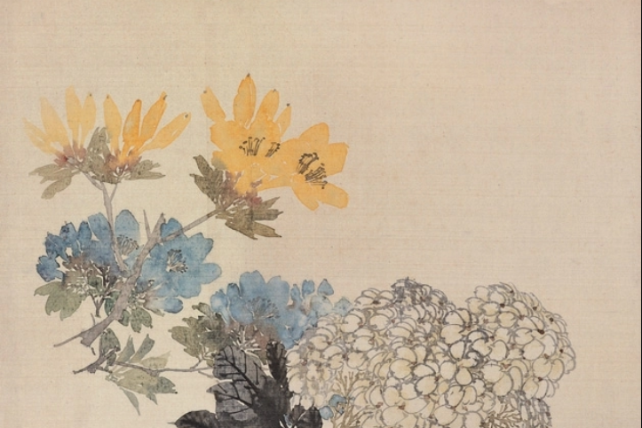 繡球杜鵑