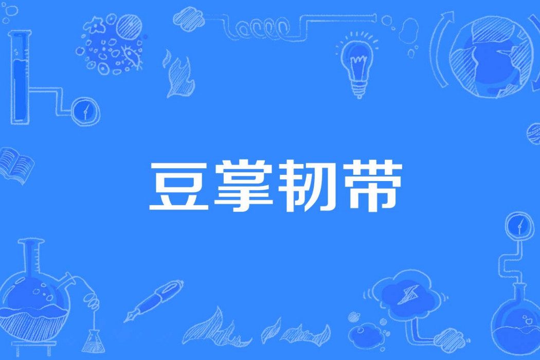 豆掌韌帶 豆掌韌帶
