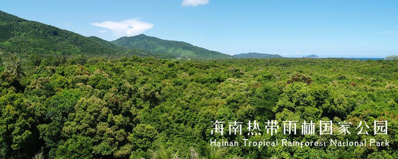 海南熱帶雨林國家公園