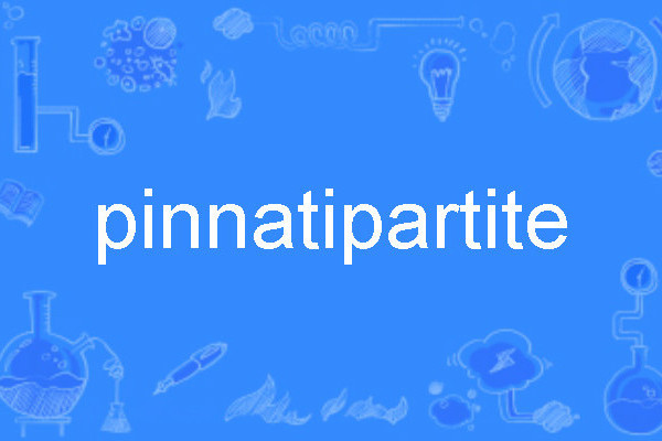 pinnatipartite pinnatipartite
