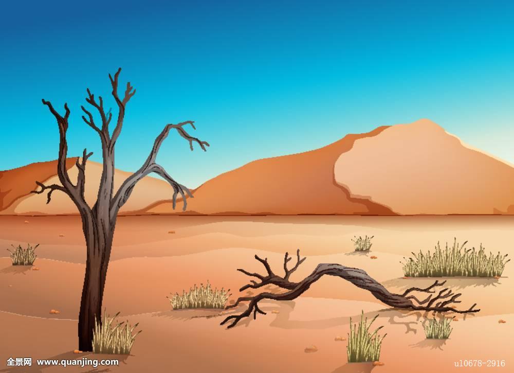 沙漠生態系統