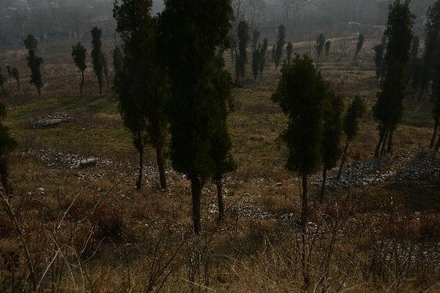魁星樓遺址 魁星樓遺址