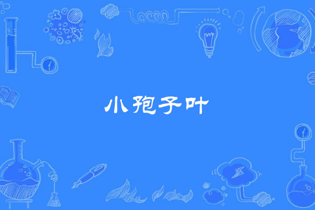 小孢子葉 小孢子葉