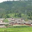 李官村(雲南省嵩明縣小街鎮村落) 李官村(雲南省嵩明縣小街鎮村落)