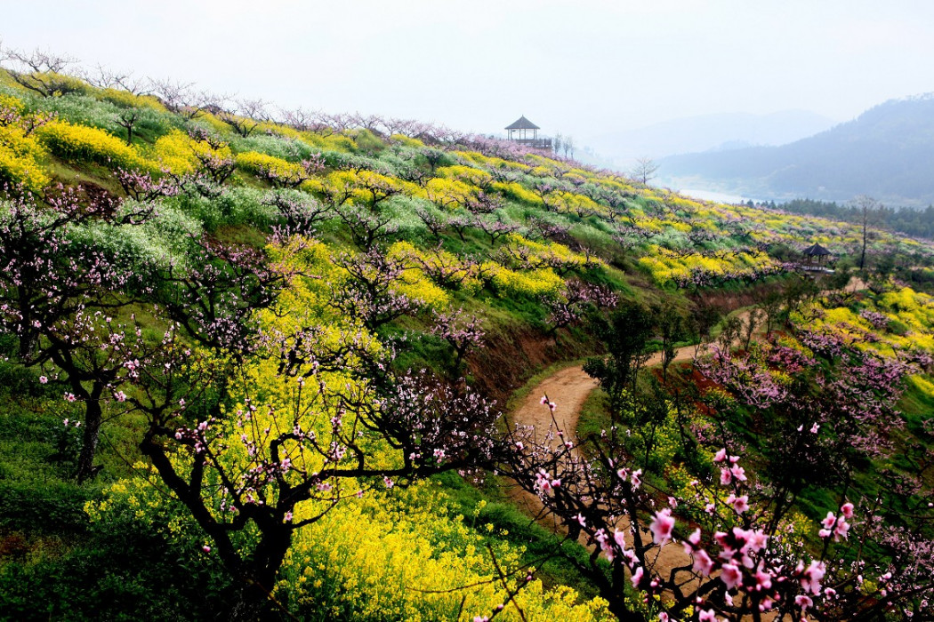 城山溝 城山溝