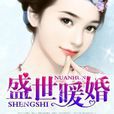 盛世暖婚(網路小說) 盛世暖婚(網路小說)