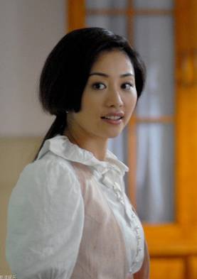 A計畫(中國2007年張衛健主演的電視劇)