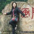 葉暉(大學講師) 葉暉(大學講師)