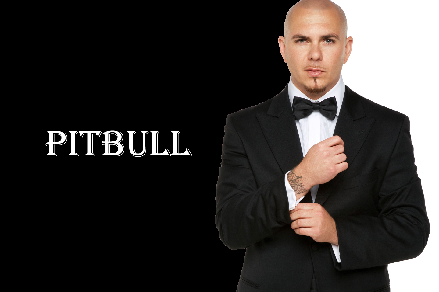 back in time(古巴裔美國歌手Pitbull的單曲)