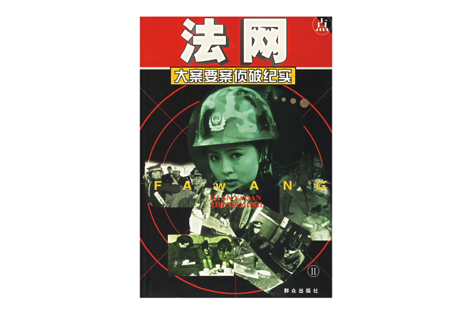 大案要案偵破紀實(大案紀實)