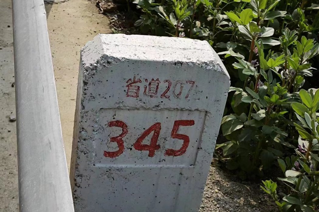 207省道(四川省境內道路) 207省道(四川省境內道路)