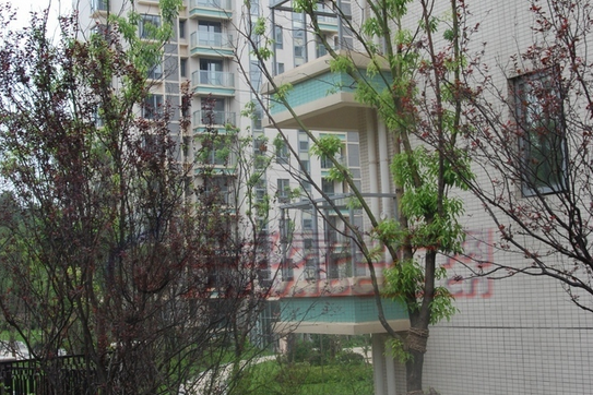 麒麟山東園 麒麟山東園