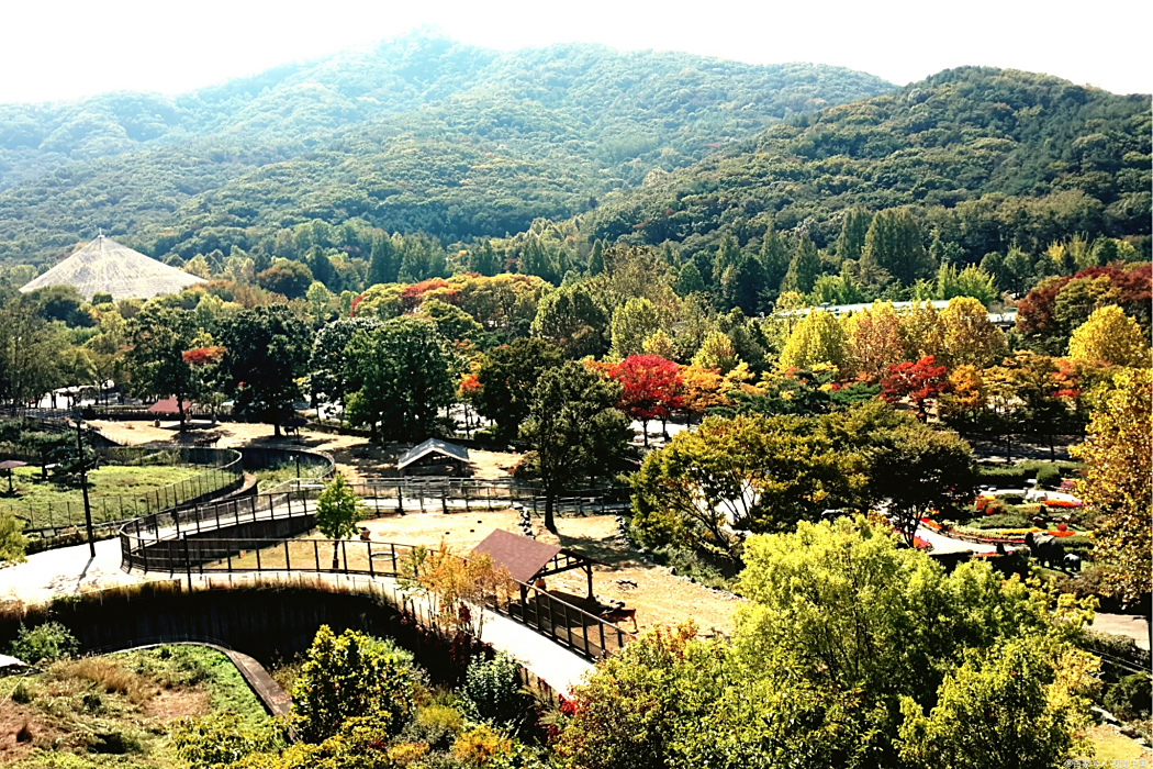 玉泉山景區 玉泉山景區