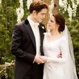 flightless bird flightless bird