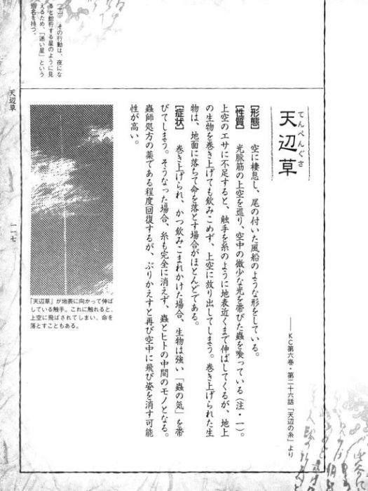 天邊草 天邊草