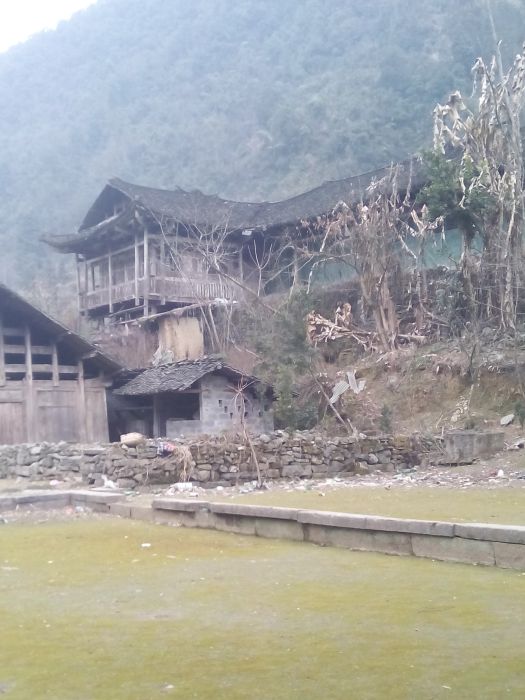 苦竹壩村 苦竹壩村